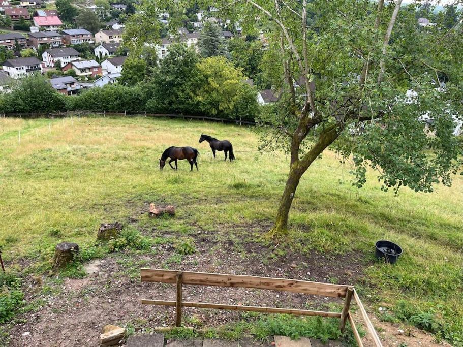 Altes Bauernhaus In Der Natur Ντέτμολντ Εξωτερικό φωτογραφία